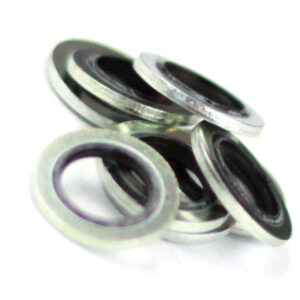 484130591 DOWTYSEAL busch R5