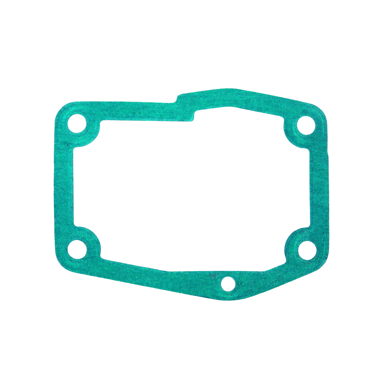 Busch Cylinder Gasket Part# 480000150