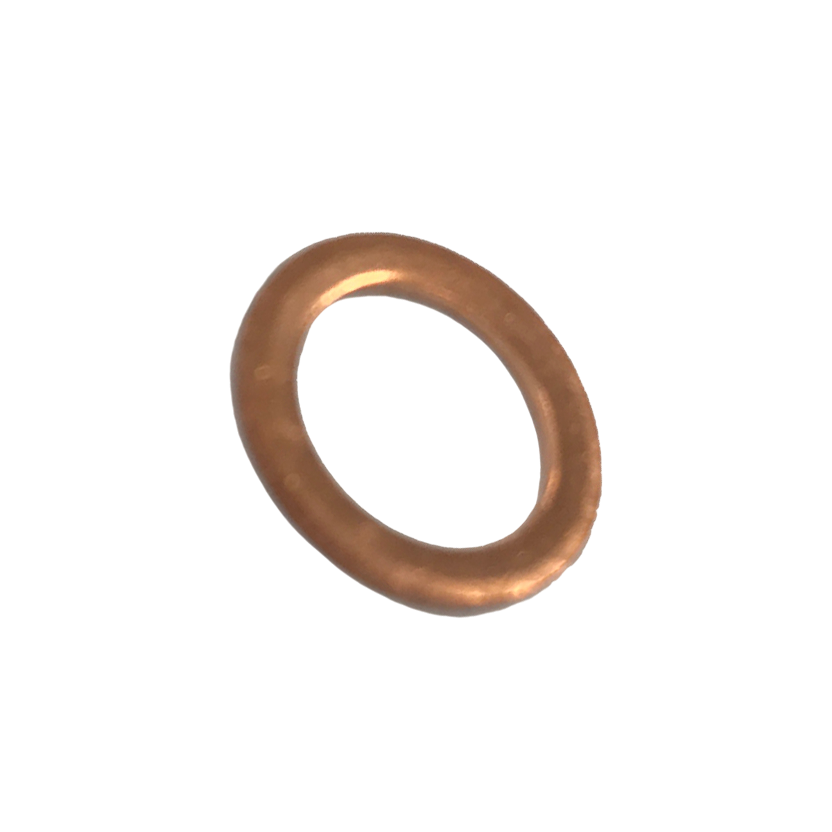 Busch Ring Gasket Part# 48401700