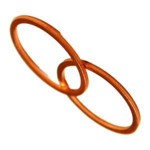 Busch Ring Gasket Part# 48406700