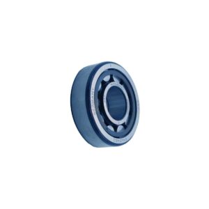 Busch Roller Bearing Part# 473000118