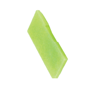 Leybold, 1st & 2nd Stage Vane - GX, Part# 20010846 - vacstellar