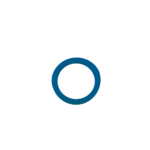 ring Gasket, Rietschle, V-VC, Part# 704039